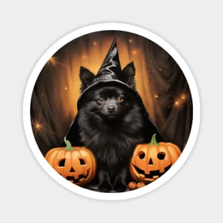 Schipperke Halloween Magnet